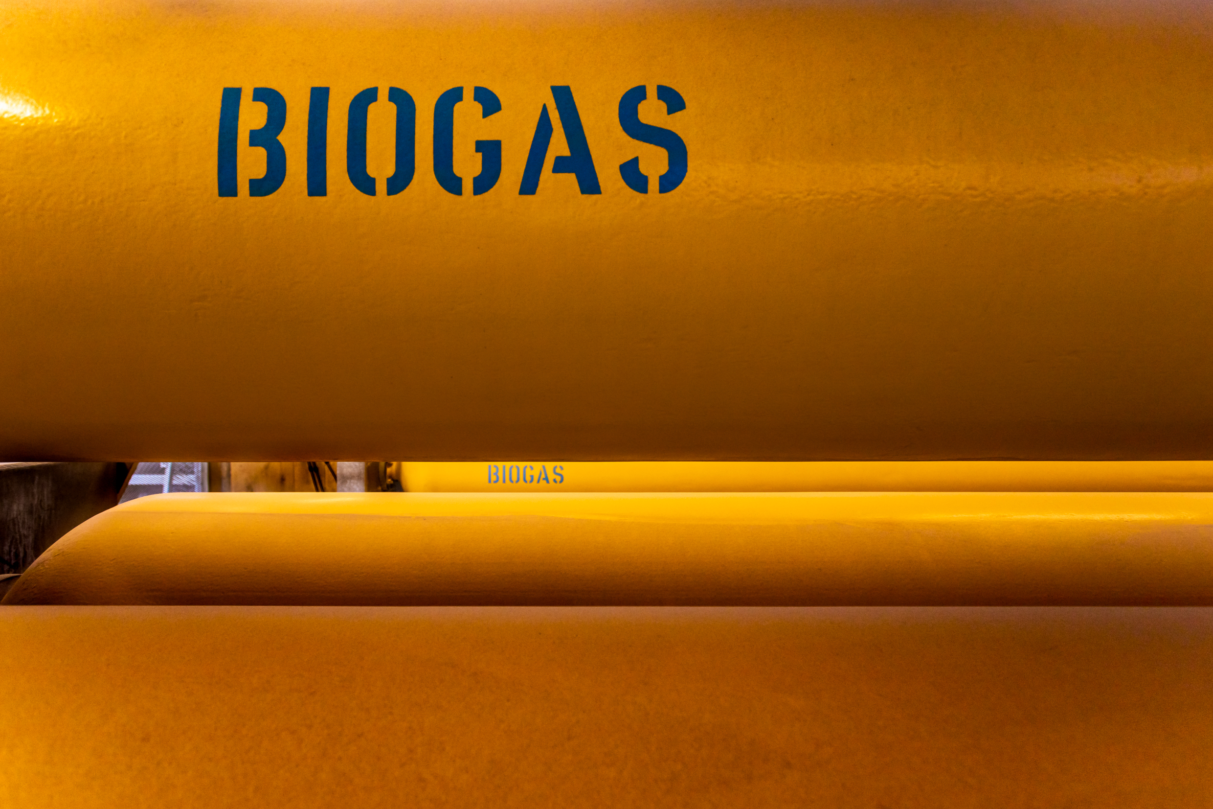 81 BIOGAS